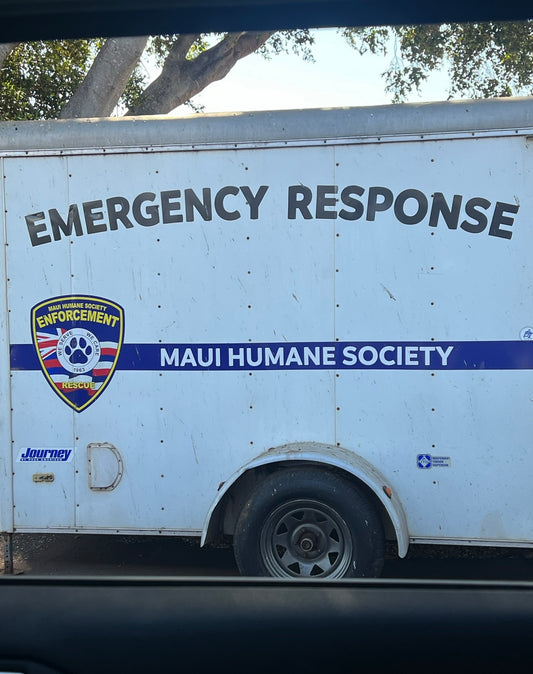 Giving Back to Maui's Animal Shelter